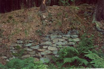  (© Zdeněk Susa, 07/2005)