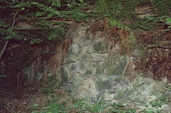  (© Zdeněk Susa, 07/2005)