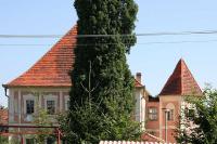 Ježovy