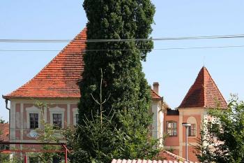Jižní průčelí ( © Luděk Pitter 07/2005)