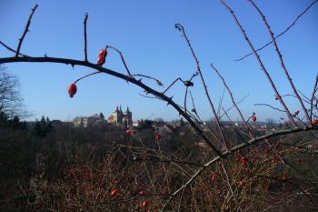 Pohled na Kouřim  (© Pavel Jarý, 02/2011)