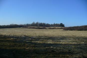 Hradiště Stará Kouřim (© Pavel Jarý, 02/2011)