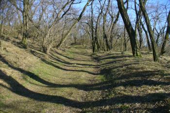 Hradiště Stará Kouřim (© Pavel Jarý, 02/2011)