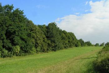 Areál hradiště ( © Petr Turyna 07/2005)