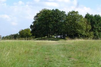  ( © iV 14.9.2007)