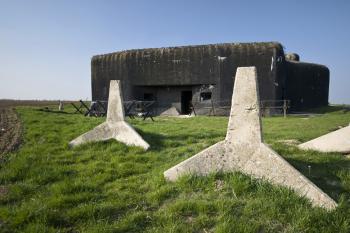 OP-S-25 (© Tomáš Berka, 04/2009)