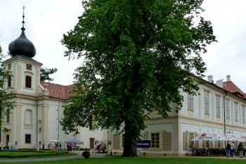 Loučeň (© František Kinař, 05/2013)