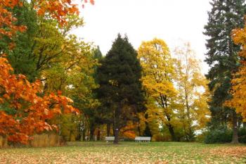 Park (© klobouk, 11/2009)