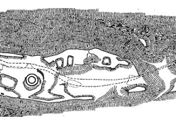 půdorys hradu ( © T. Durdík podle M. Cejpové (in T. Durdík: Ilustrovaná encyklopedie českých hradů, Libri, Praha 1999))
