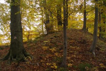  (© Jan Švejkar, 10/2011)