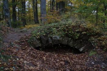  (© Jan Švejkar, 10/2011)