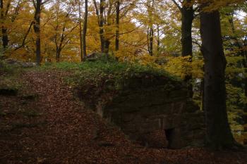  (© Jan Švejkar, 10/2011)
