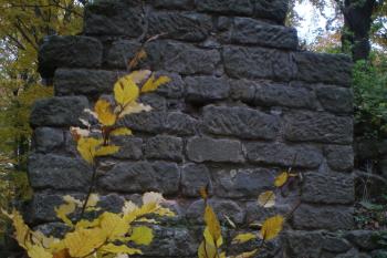  (© Jan Švejkar, 10/2011)
