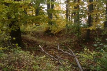  (© Jan Švejkar, 10/2011)