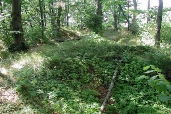 Předhradí (2003 © Václav Hájek)