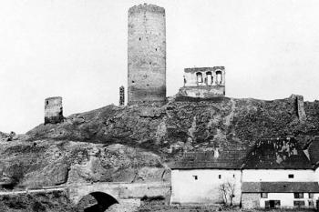 Žebrák od jihu na snímku z konce 19. století ( © archiv NPÚ (in V. Razím: Dolní palác hradu Žebráka, Průzkumy památek X-II, Praha 2005))