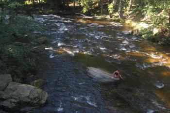 Pohled z mostu na Orlici (© Zdeněk Susa, 09/2011)