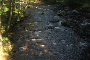 Divoká Orlice pod mostem (© Zdeněk Susa, 09/2011)