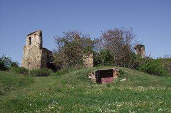  (© Michal Brůža, 05/2011)