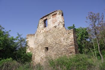  (© Michal Brůža, 05/2011)