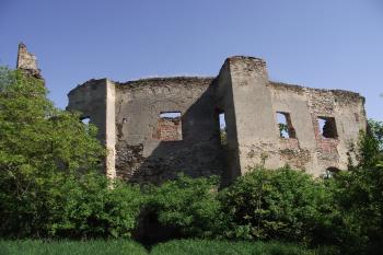  (© Michal Brůža, 05/2011)
