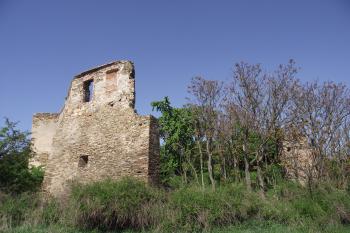  (© Michal Brůža, 05/2011)