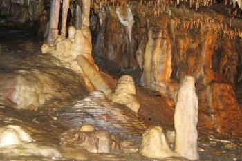 nejoblíbenější dívčí krápník ( © Jan P. Štěpánek 08/2005)