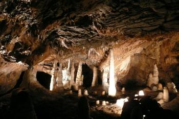 sloupsko-šošuvské jeskyně ( © Jan P. Štěpánek 06/2008)