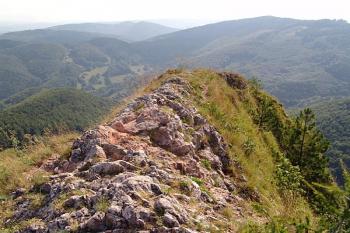 Vrcholek hradního bradla ( © Roman Řezáč 08/2005)