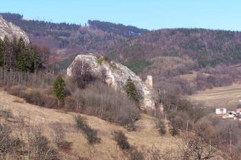 pohled na hrad Lednica od jihozápadu ( © Jan P. Štěpánek 02/2008)