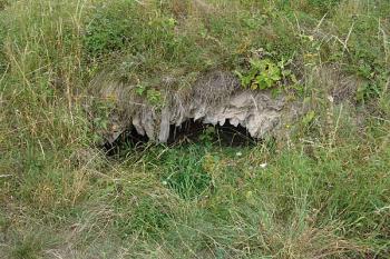 Zbytek klenby na severozápadě ( © Roman Řezáč 08/2005)
