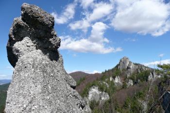 bizardní skalní útvar a skalní masiv s pozůstatky hradu v pozadí ( © Jan P. Štěpánek 04/2011)
