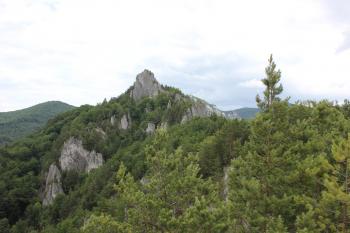  (© Luděk Vláčil, 05/2014)
