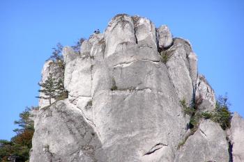 Detail horních partií jižního skaliska, kde se převážně rozkládalo jádro hradu ( © Jan P. Štěpánek 09/2007)
