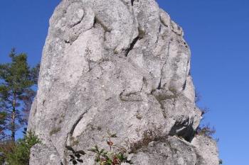 Severní hradní skalnatý suk z nádvoří hradu ( © Jan P. Štěpánek 09/2007)