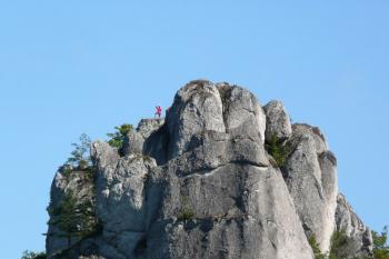 pohled od jihu na skalisko kryjící vlastní skálu nesoucí  hradní strážnici ( © Jan P. Štěpánek 08/2008)