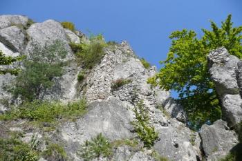 vstupní partie hradu se zbytky hradních budov ( © Jan P. Štěpánek 08/2008)