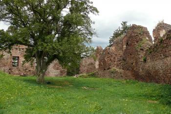Zřícenina hradu Žumberk (celkový pohled z nádvoří) (© Jiří Cukr, 08/2014)