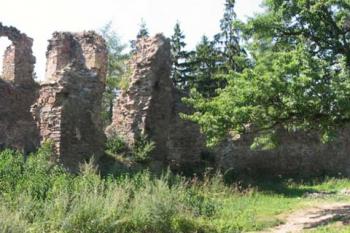 (© 2003 Jiří Čížek)