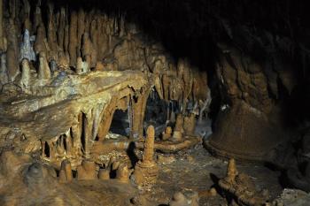 Javořičské jeskyně (© Tomáš Berka, 08/2010)