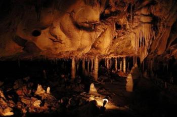  ( © Roman Krejčí 8.9.2002)