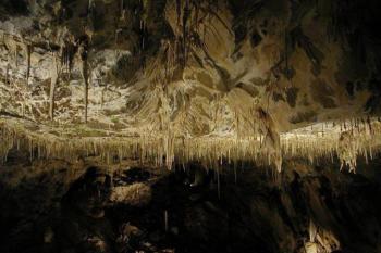  ( © Roman Krejčí 8.9.2002)