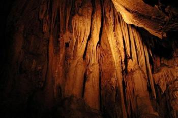  ( © Roman Krejčí 8.9.2002)