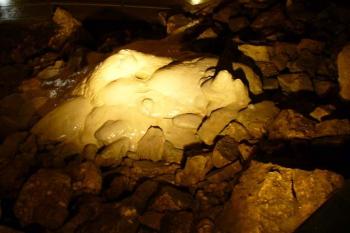 Javoříčské jeskyně - výzdoba (© Pavel Jarý,  21.07.2007)