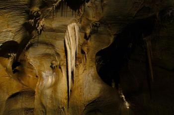 Javoříčské jeskyně - krápníková výzdoba (© Pavel Jarý,  21.07.2007)