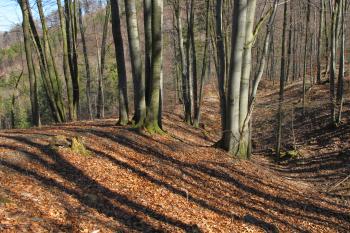 Severní příkop a val /od západu/ (© Dušan Dohňanský 03/2020)