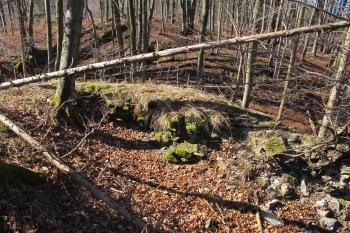Torzo bergfritu (© Dušan Dohňanský 03/2020)