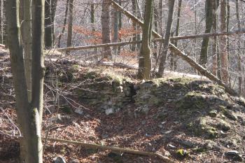 Hradba navazující na bergfrit (© Dušan Dohňanský 03/2020)