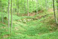 Vildštejn