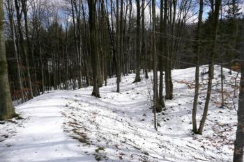 masiv širokého valu, který nesl komunikaci k předhradí ( © Jan P. Štěpánek 03/2008)